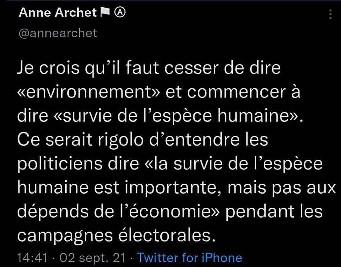 586564747 10227619472026952 1849503949325254204 n