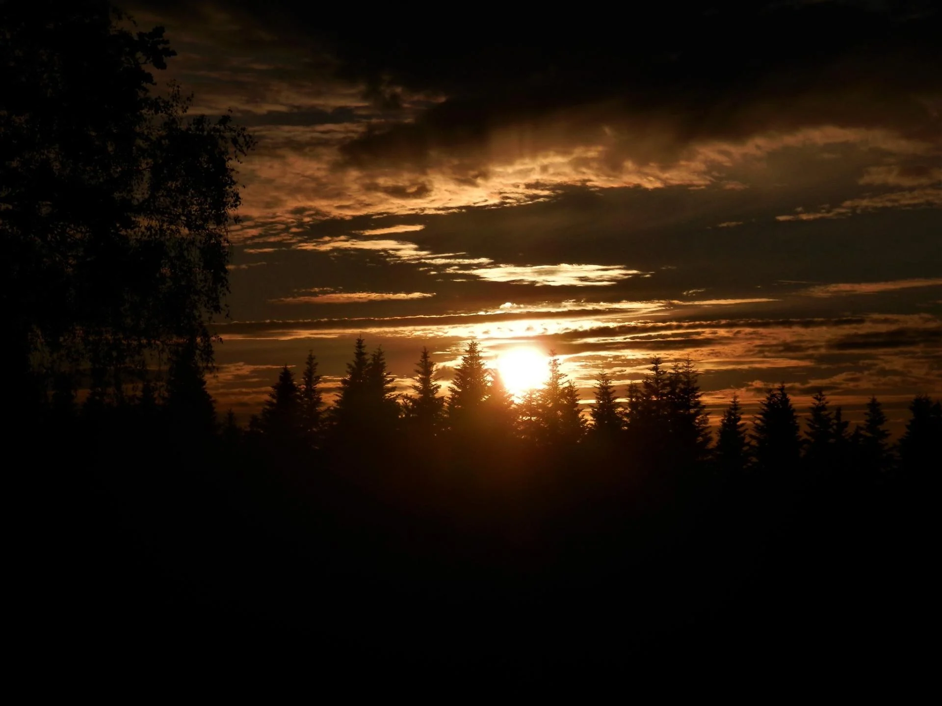 608213029 2008529840003158 3579082585742631044 n