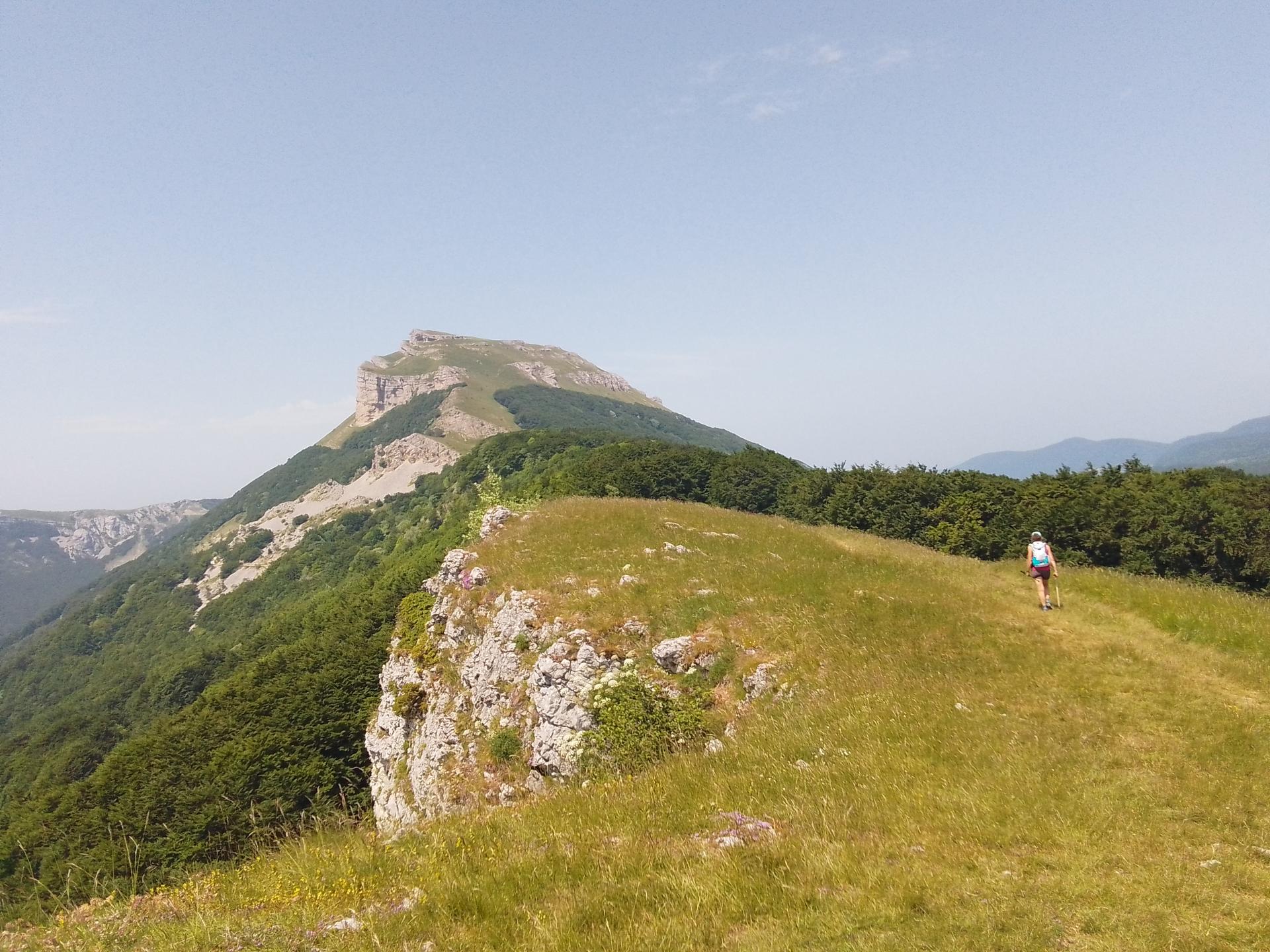 Img 20250612 145850