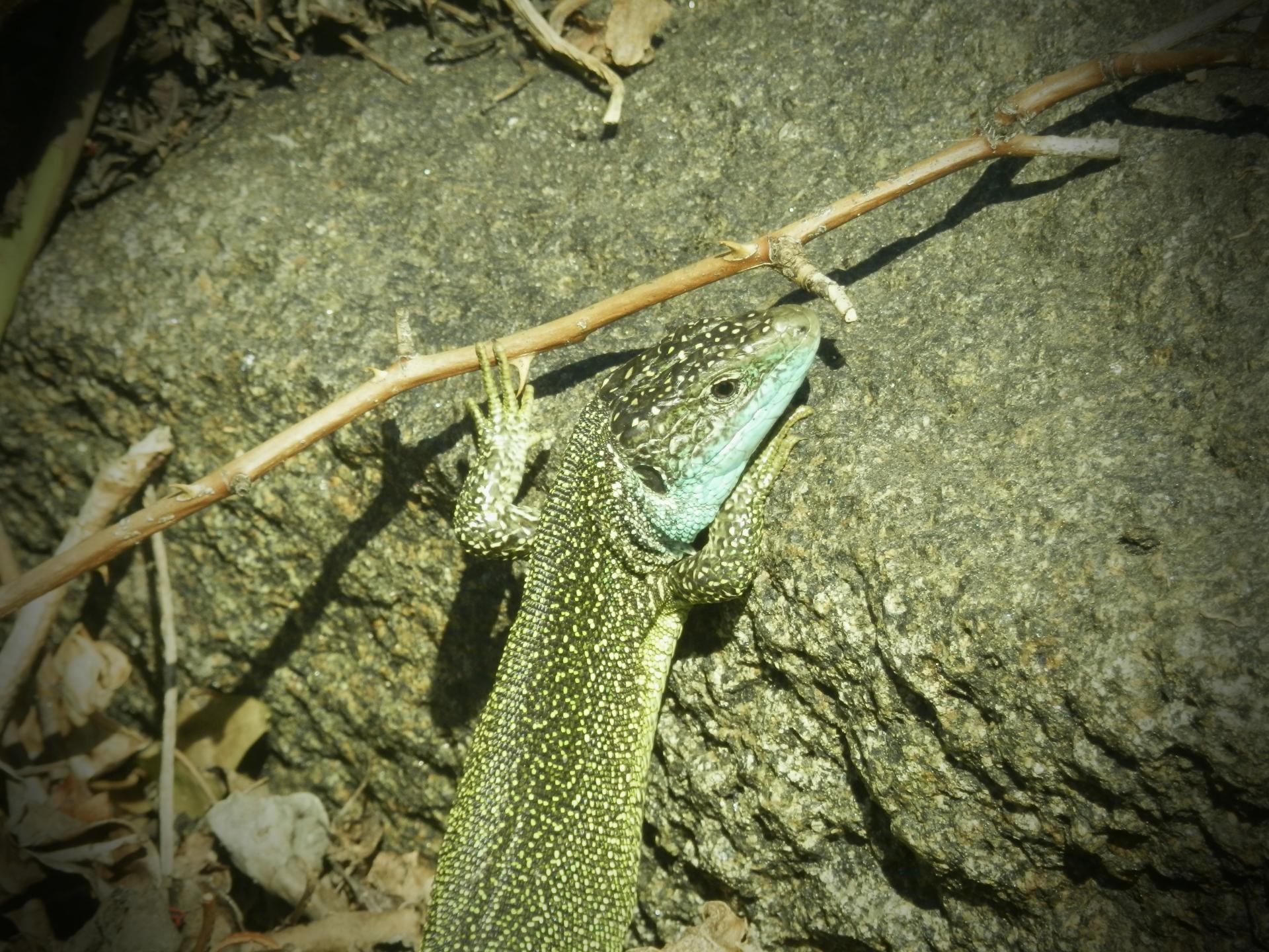 P3050044