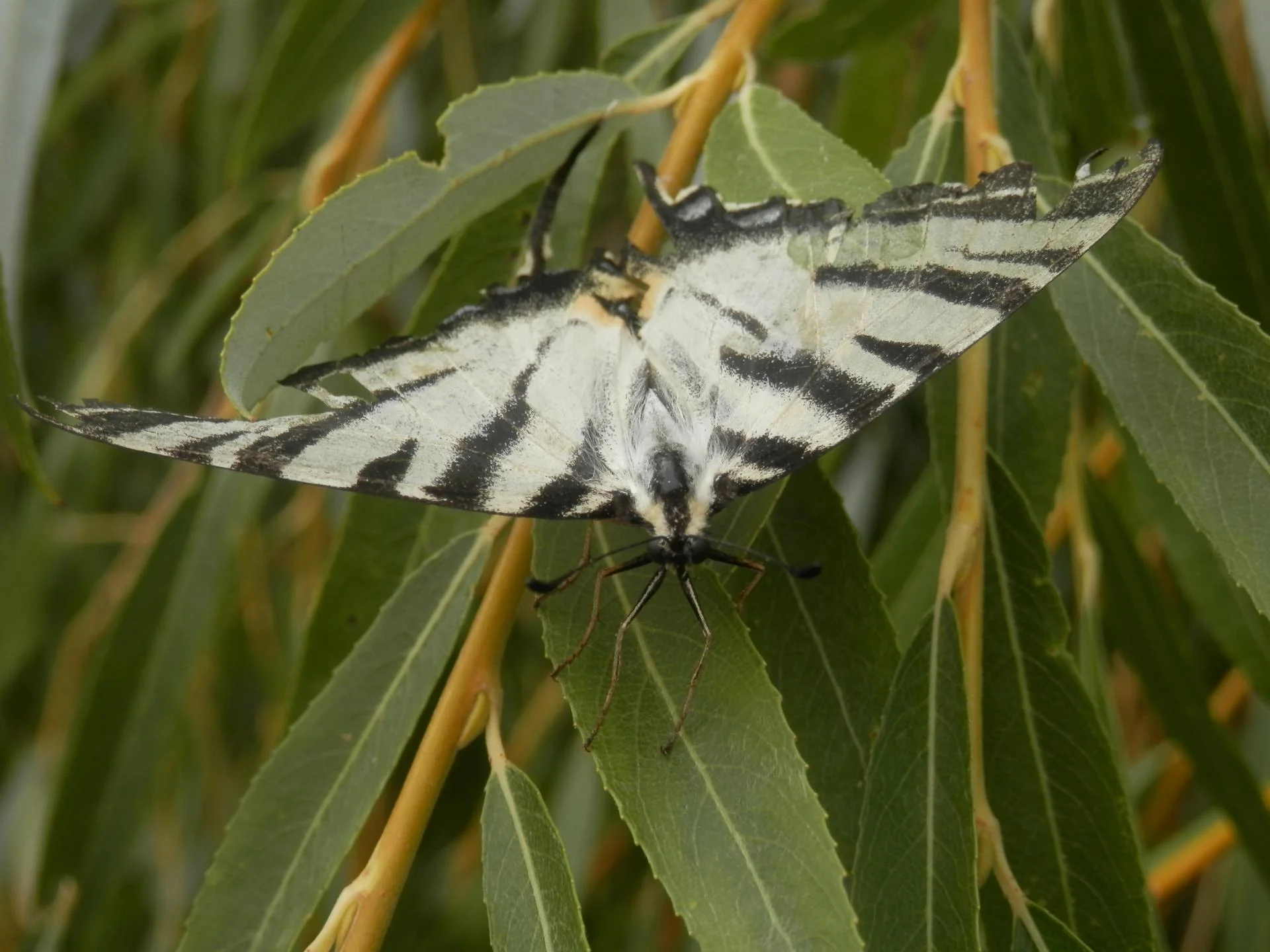 P7310002